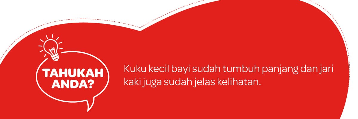 Tahukah Anda - Kehamilan 35 Minggu | Huggies Malaysia